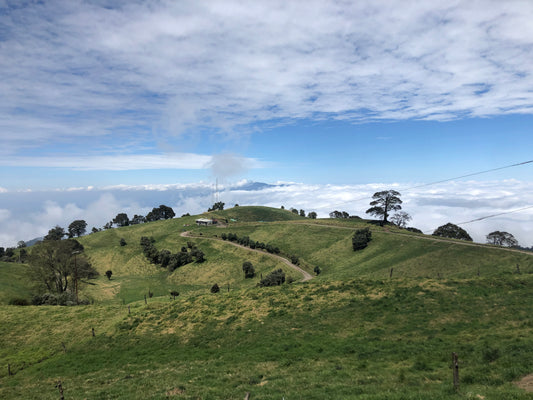 Donación voluntaria a la Asociación