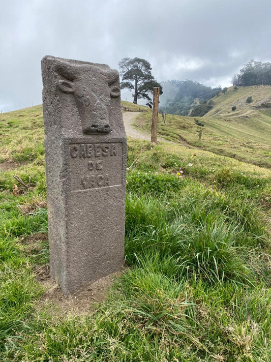 Paquete Tres Filos: 4 personas